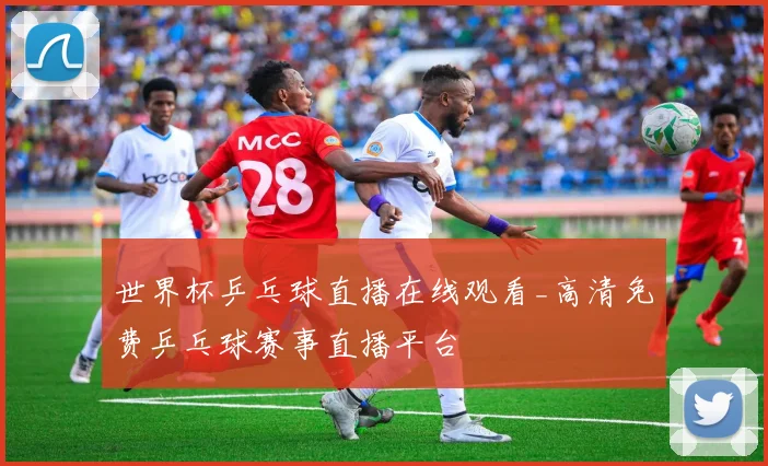 世界杯乒乓球直播在线观看_高清免费乒乓球赛事直播平台